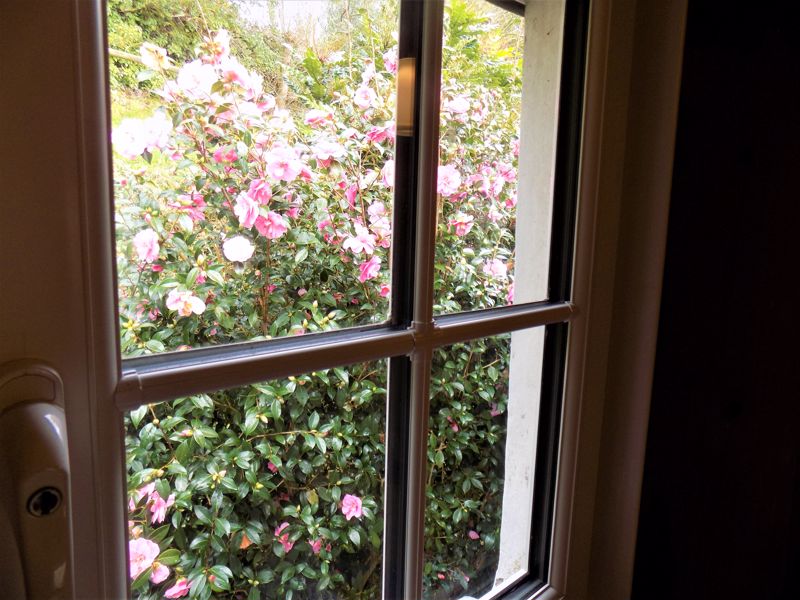 Landing Window with Camellias